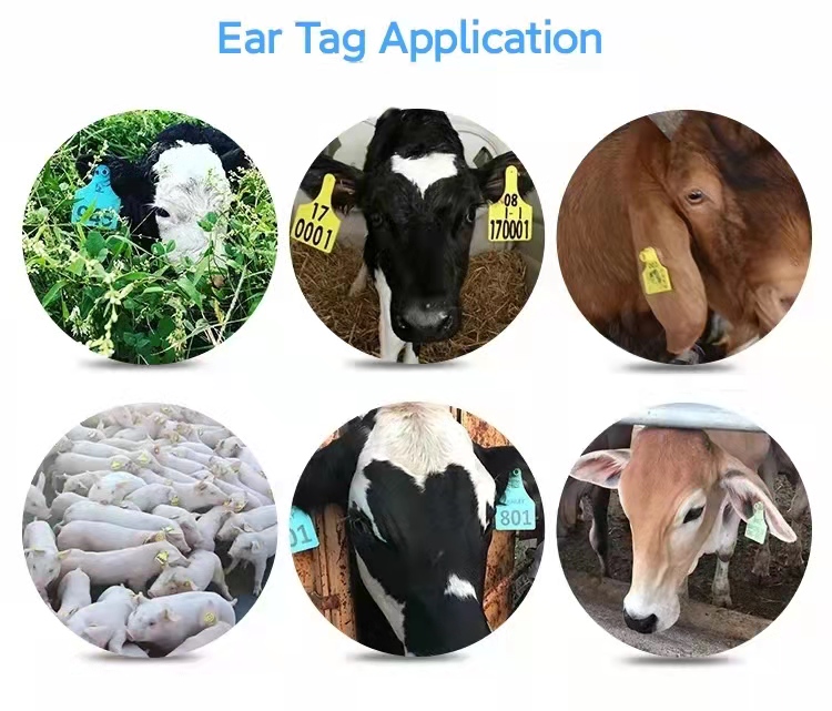 علامة أذن الماشية