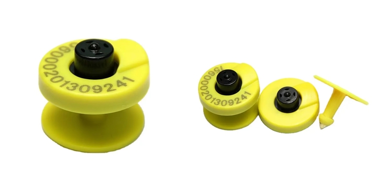 RFID Tags For Animal Tracking