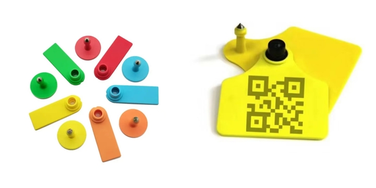 RFID Ear Tags For Livestock Management RFID Ear Tags For Livestock Management