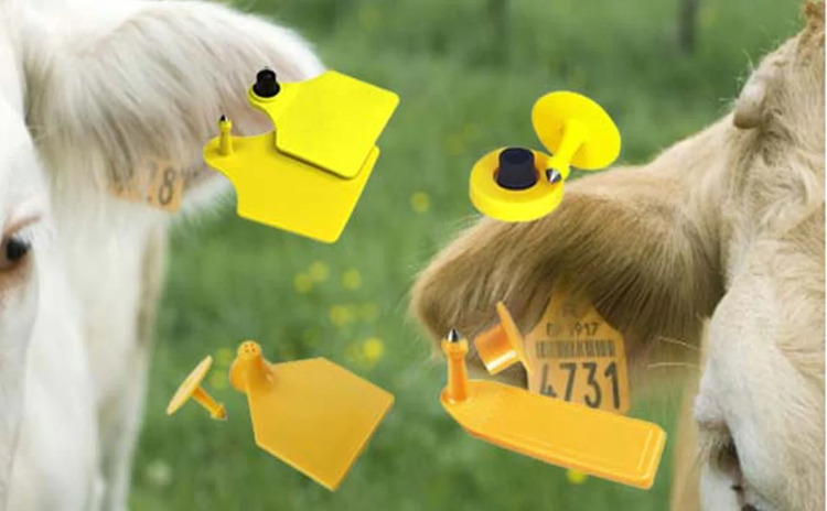 Customized RFID Animal Tags Customized RFID Animal Tags