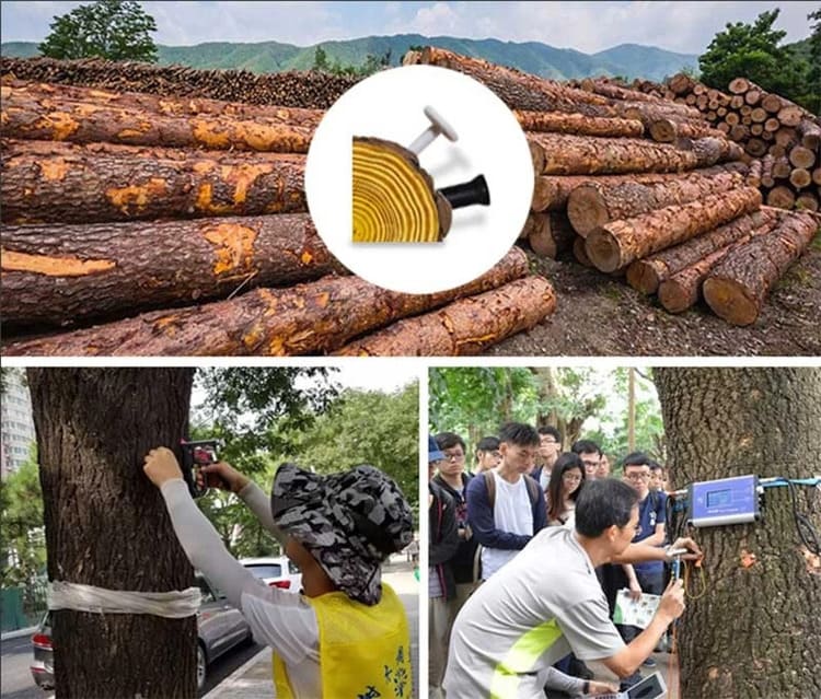 RFID Nail Tag for Wood Management