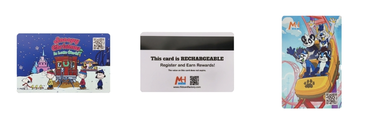 Customized RFID Animation IP Flash Cards