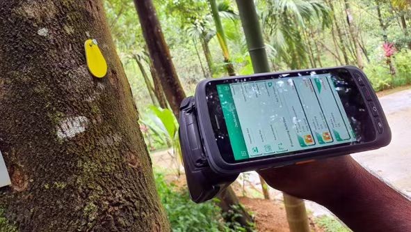 تستخدم شركة الغابات في سريلانكا تقنية تحديد الترددات الراديوية (RFID) لتتبع صحة الأشجار