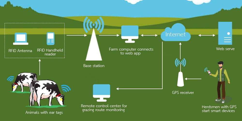 اكتشف لغز علامات RFID الحيوانية، ما هو الدور الذي تلعبه؟