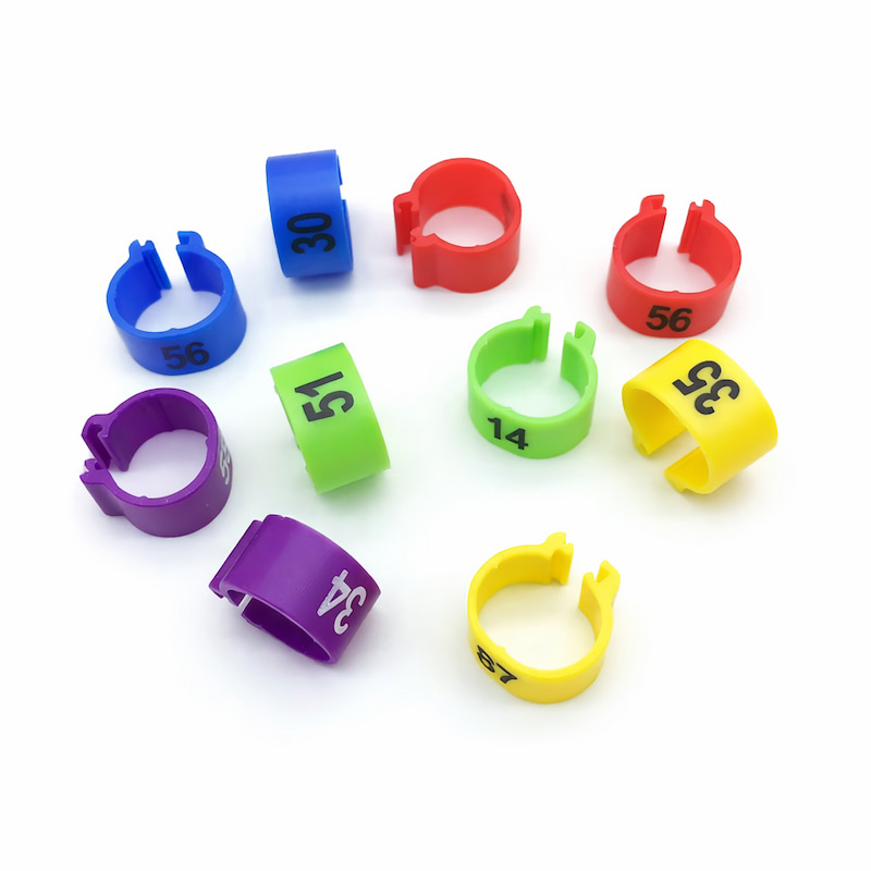 RFID leg band used in poultry breeding systems