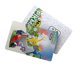RFID smart card for water park membership system